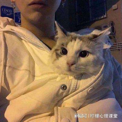 将军不要走bt变态版下载