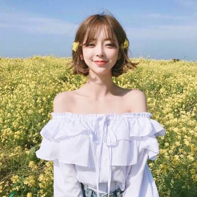 神奇宝贝max公益服下载